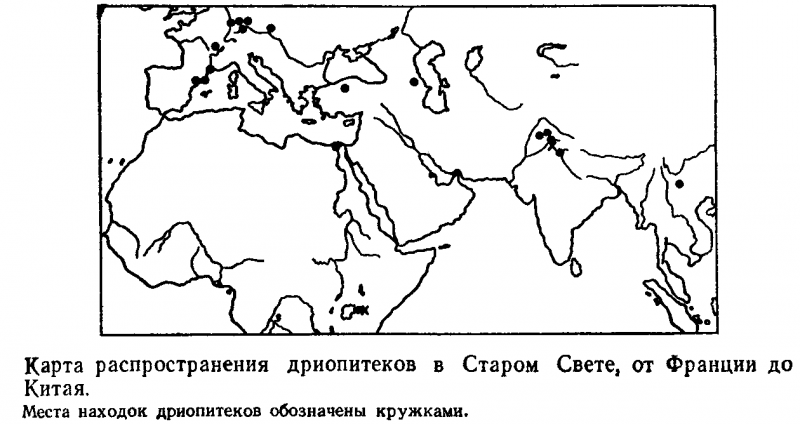 Адрес — Лемурия? - image02.png