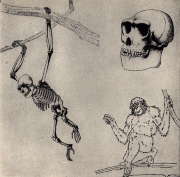 Адрес — Лемурия? - pic03.jpg