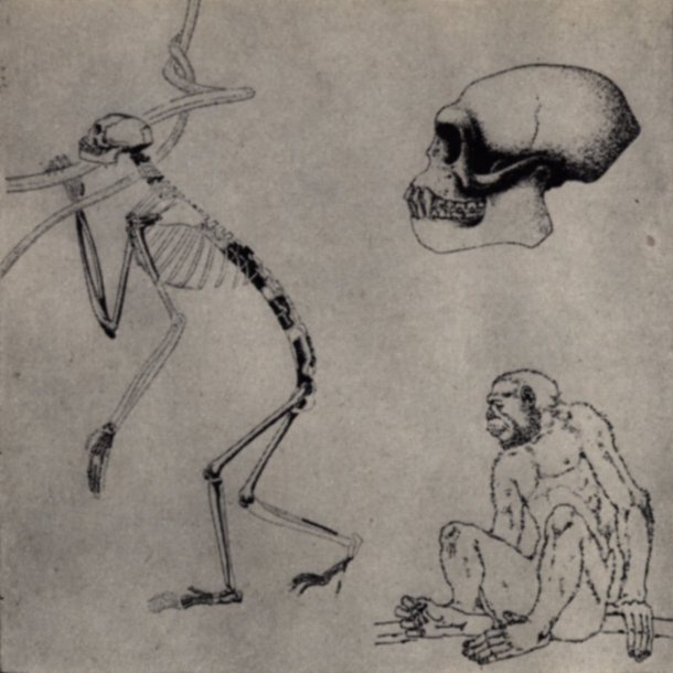 Адрес — Лемурия? - pic04.jpg