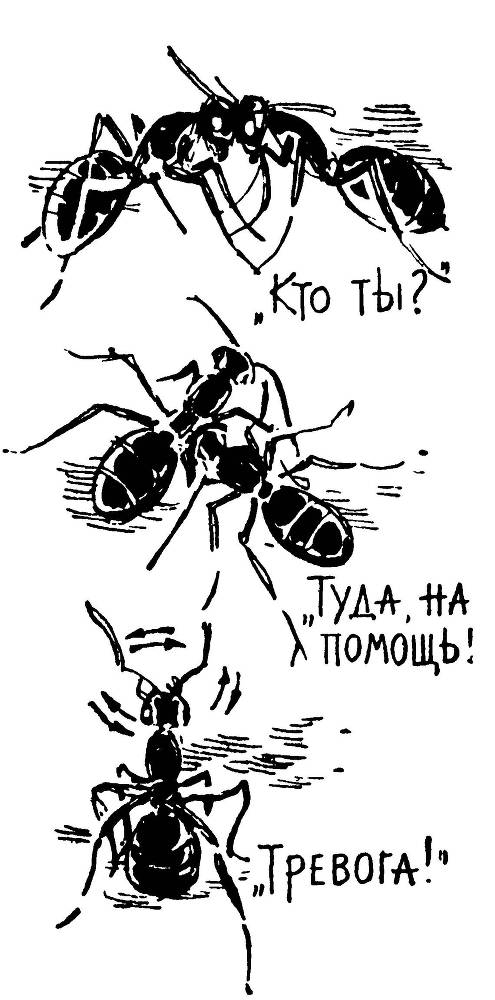 Алло, робот - _21.jpg