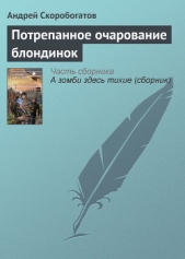 Потрепанное очарование блондинок - автор Скоробогатов Андрей Валерьевич 