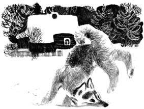 Джулькино детство - _4.jpg