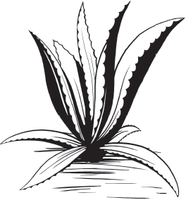 Путешествие души - _9.png