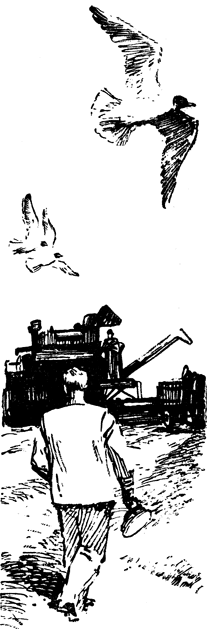 Тронка - i_030.png