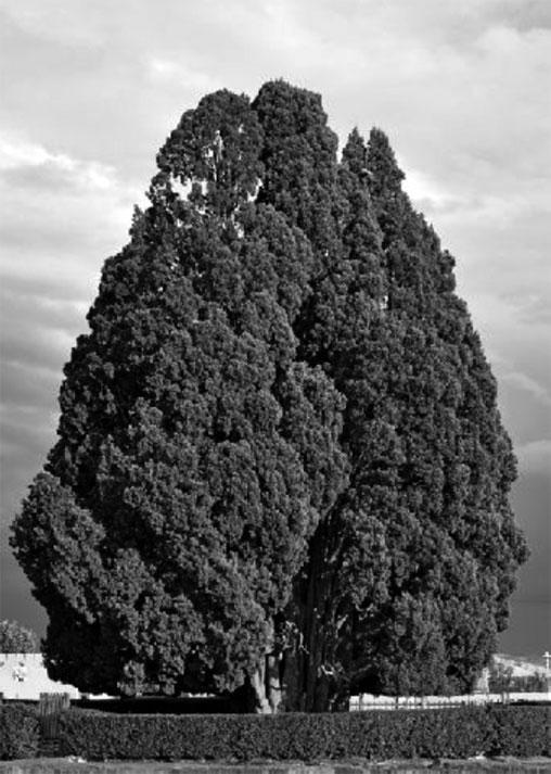 Персия. История неоткрытой страны - _16.jpg