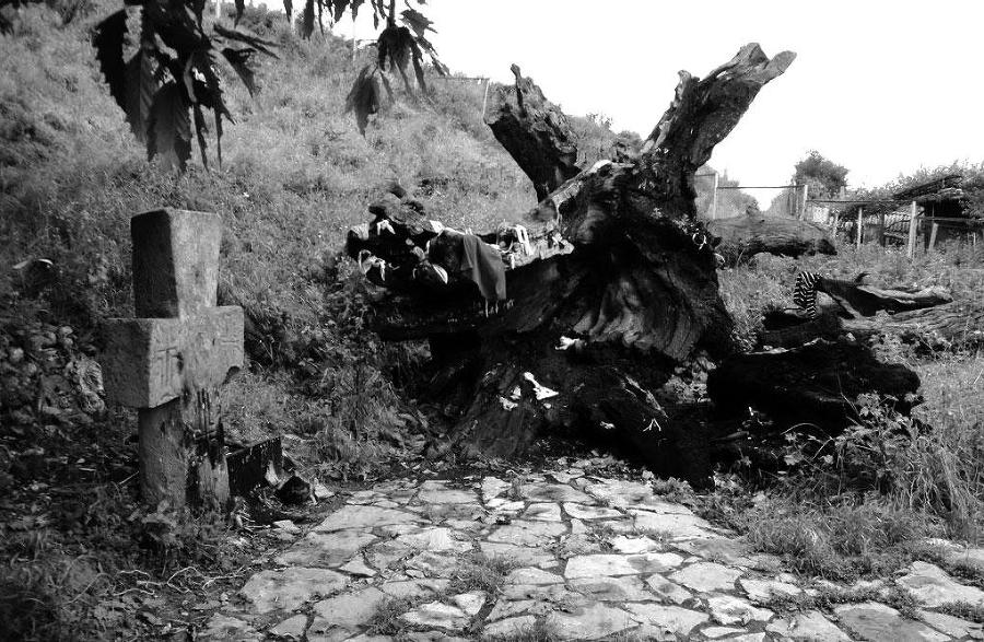 Персия. История неоткрытой страны - _56.jpg