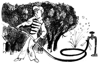 Долой огуречного короля - i_018.jpg