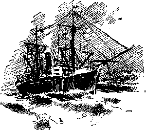 Лахтак - laht4160_.png