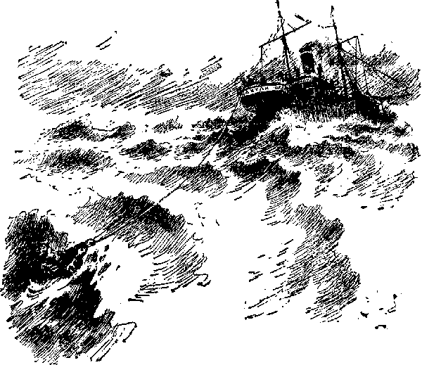 Лахтак - laht1050_.png