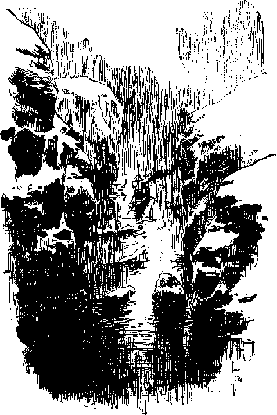 Лахтак - laht1120_.png