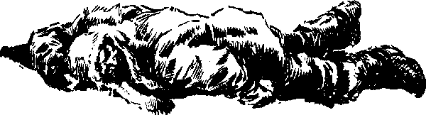 Лахтак - laht2131_.png