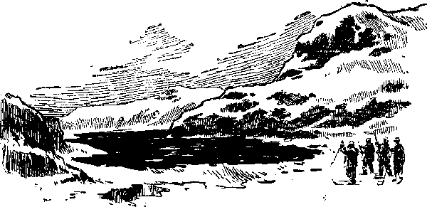 Лахтак - laht4090_.png