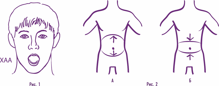 Домашние уроки здоровья. Гимнастика без тренажеров. 60 упражнений - i_006.png