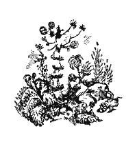 Аргонавты Вселенной (илл. Г.Малакова) - pic_41.jpg