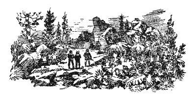 Аргонавты Вселенной (илл. Г.Малакова) - pic_48.jpg