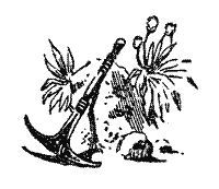 Аргонавты Вселенной (илл. Г.Малакова) - pic_59.jpg