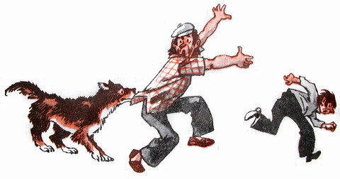 Капля дёгтя и полмешка радости - i_016.jpg