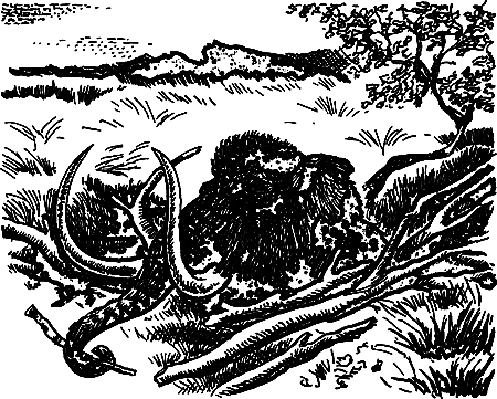 Жертвы дракона (сборник) - i_209.png