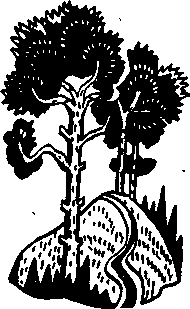 Озеро шумит (сборник) - i_024.png