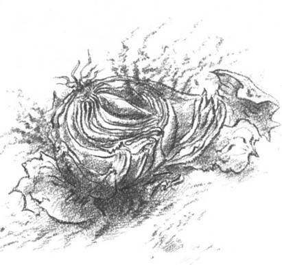 Луковица памяти - i_004.jpg