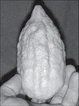 Бизнес по-еврейски 3. Евреи и деньги - pic_13.png