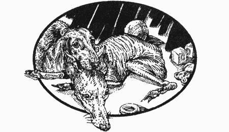 Приключения чёрной таксы - _74.jpg