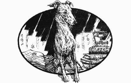 Приключения чёрной таксы - _30.jpg