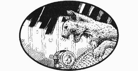 Приключения чёрной таксы - _40.jpg