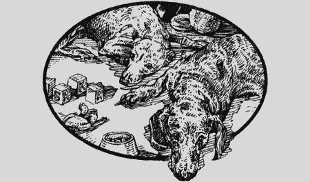 Приключения чёрной таксы - _49.jpg