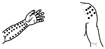 Восточный массаж - i_026.png