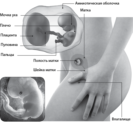 Я супермама - i_030.png