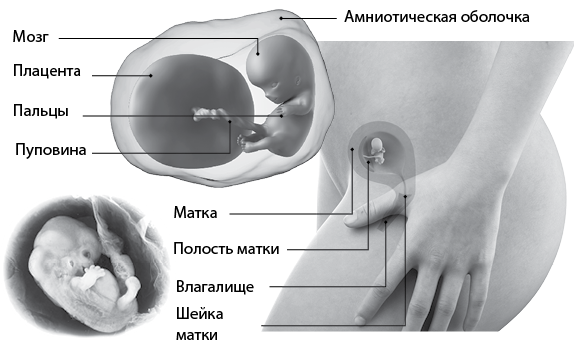 Я супермама - i_031.png