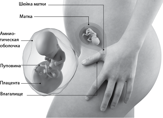 Я супермама - i_038.png