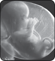 Я супермама - i_041.png