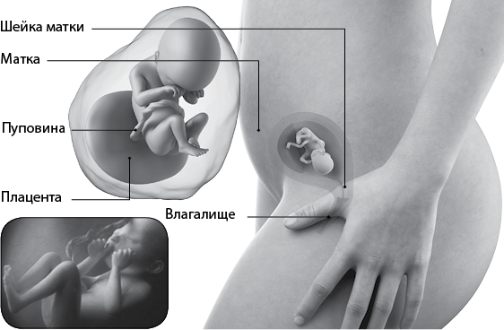 Я супермама - i_047.png