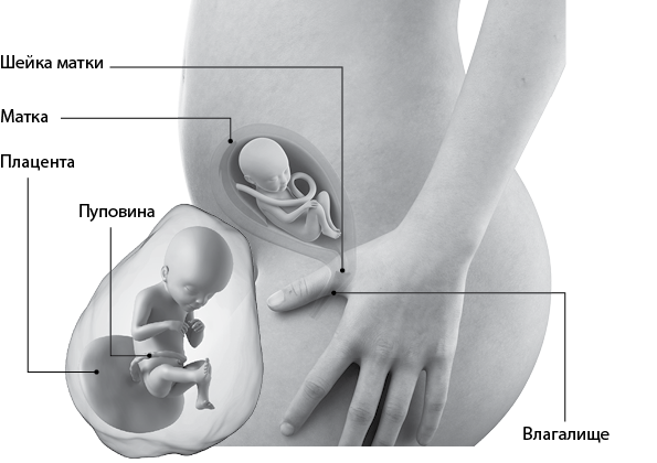 Я супермама - i_050.png