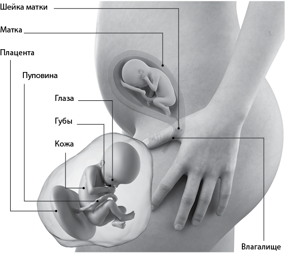 Я супермама - i_052.png