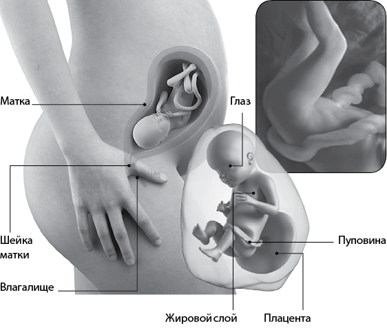 Я супермама - i_058.png