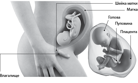 Я супермама - i_059.png