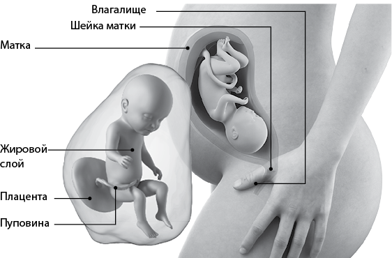 Я супермама - i_061.png