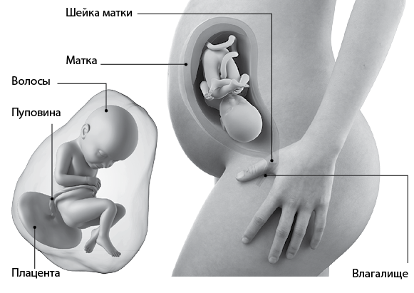 Я супермама - i_062.png