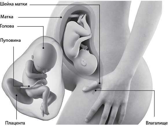 Я супермама - i_067.png