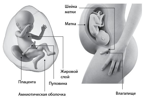 Я супермама - i_081.png