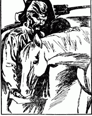 Незабудка - img_19.png