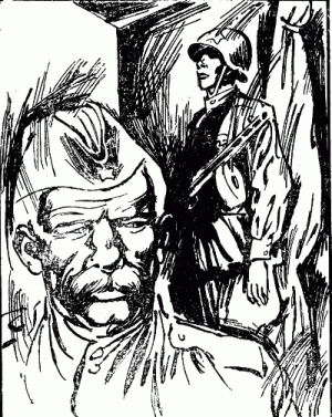 Незабудка - img_20.png