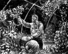 Мечте навстречу - i_010.jpg