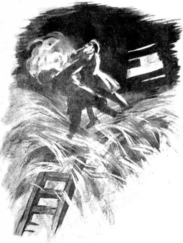 Всадники ветра (Двойники)<br />Советская авантюрно-фантастическая проза 1920-х гг. Том XVII - i_014.jpg