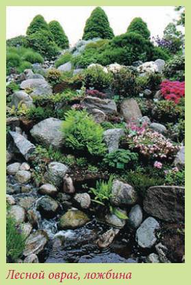 Альпийский сад и рокарий - i_025.jpg