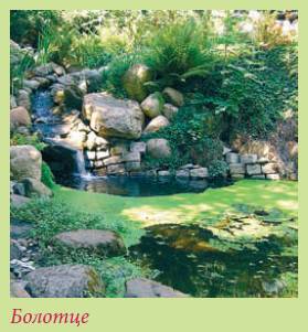 Альпийский сад и рокарий - i_029.jpg