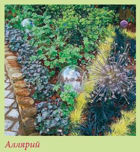 Альпийский сад и рокарий - i_031.jpg